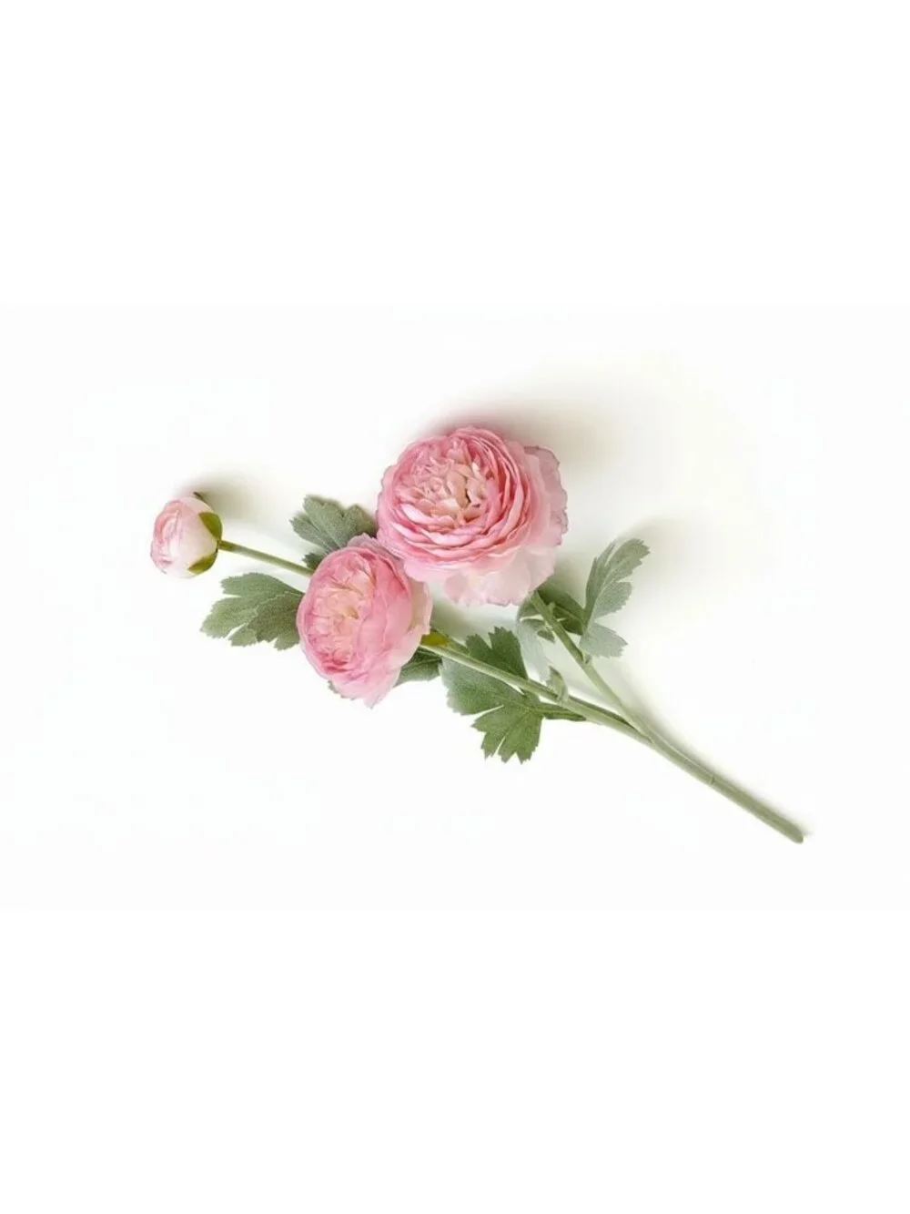 Blush Pink Artificial Ranunculus Peony Style Stems, Set of 2, 20 Inch Silk Flowe